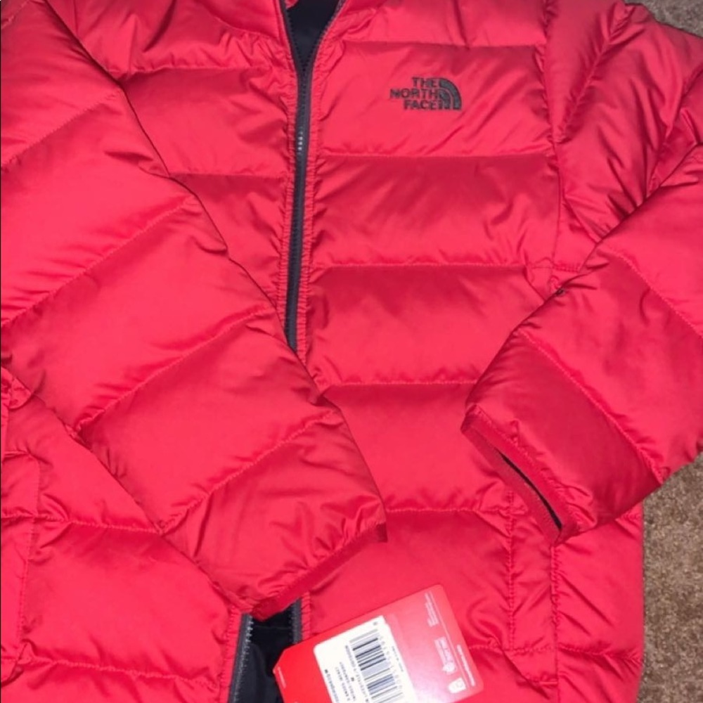 550 North face coat
